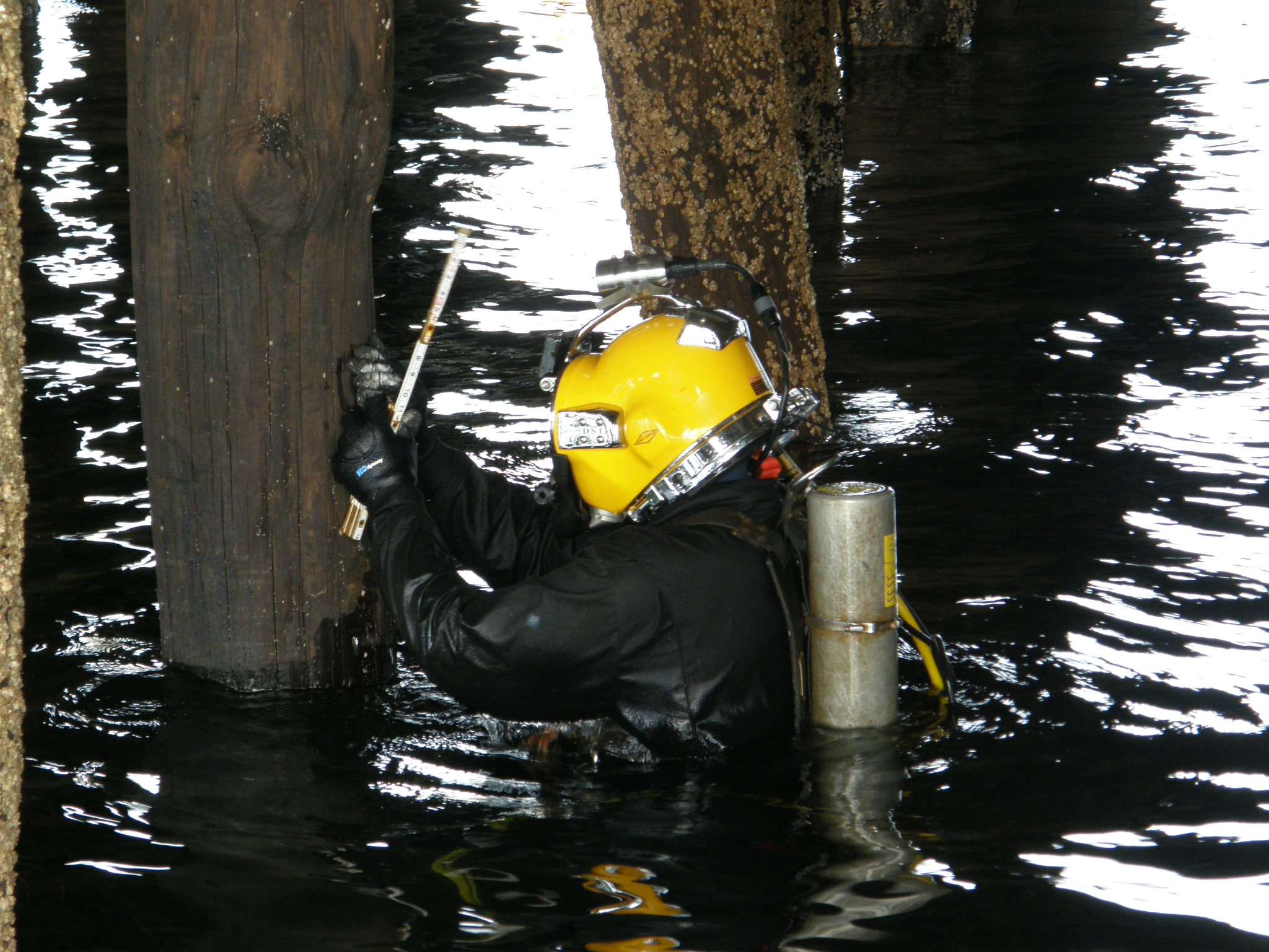 diving-services-incorporated-underwater-bridge-inspection